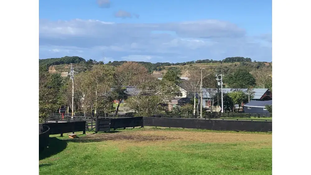 【北海道】競走馬の育成スタッフ大募集！自然あふれる場所で働きませんか？｜いえとしごとエージェント求人