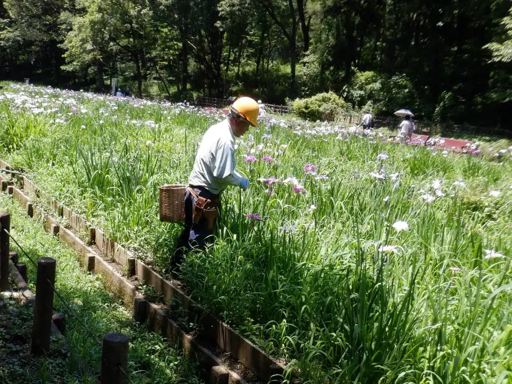 緑に囲まれて気持ちもスッキリ♪ものづくりが好きな方大歓迎！寮も借上げ予定です！｜有限会社石井造園